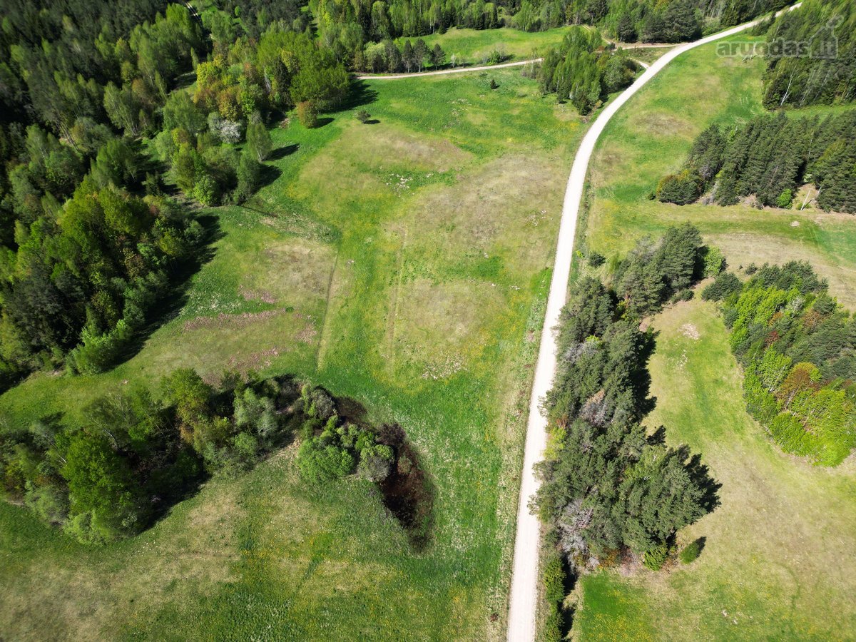 Parduodamas žemės ūkio paskirties sklypas - nuotraukos Nr. 5