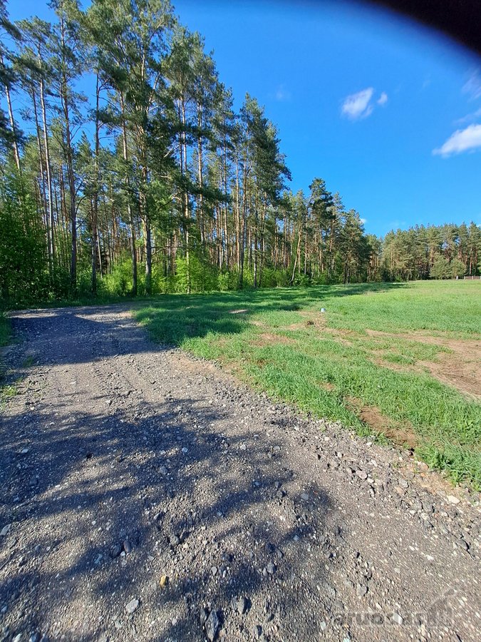 Liko 1sklypas!parduodami 5 namų valdos - nuotraukos Nr. 4