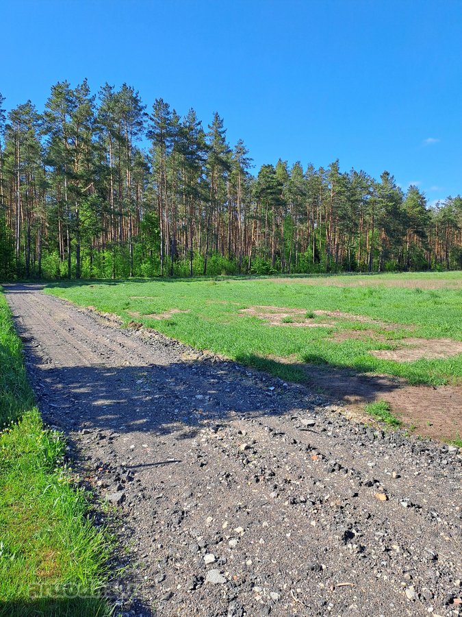 Liko 1sklypas!parduodami 5 namų valdos - nuotraukos Nr. 7