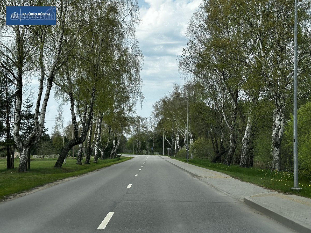 Parduodamas Šalia Miško Puikus Sklypas Palangoje - nuotraukos Nr. 5
