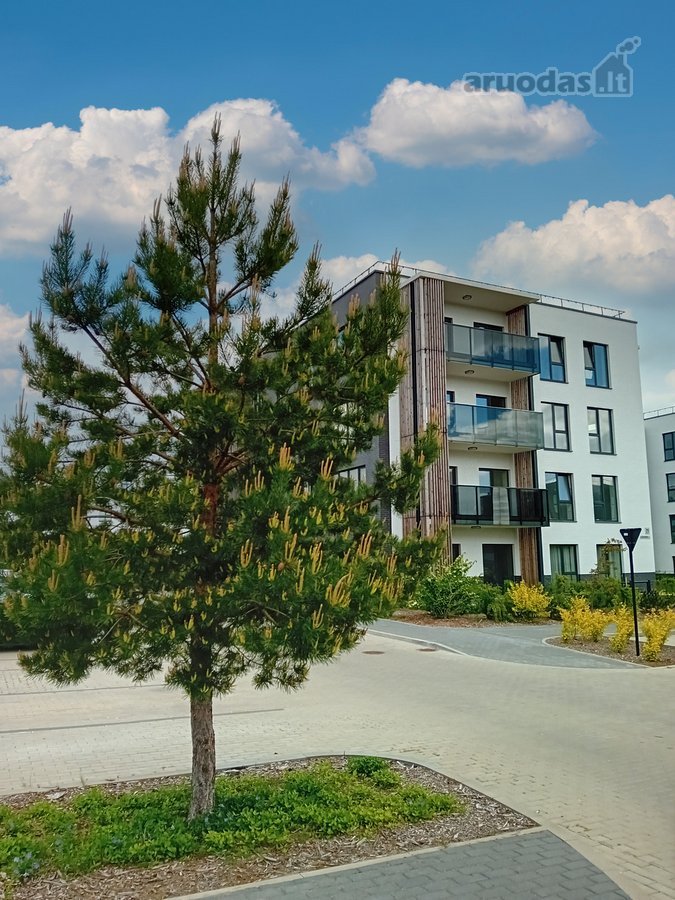 Išskirtinis, Erdvus 4 Kambarių Butas