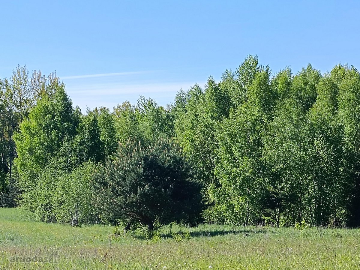 30 arų namų valdos sklypas, bendras 2,51 ha ploto - nuotraukos Nr. 3