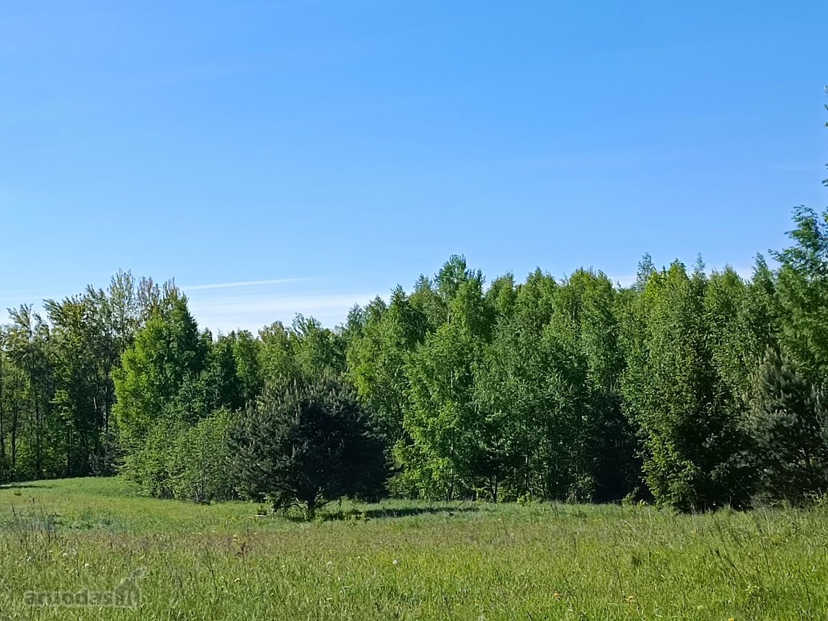 30 arų namų valdos sklypas, bendras 2,51 ha ploto - nuotraukos Nr. 24