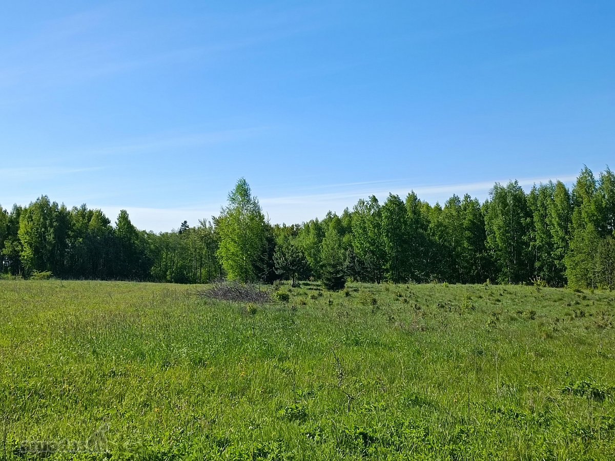 30 arų namų valdos sklypas, bendras 2,51 ha ploto - nuotraukos Nr. 27