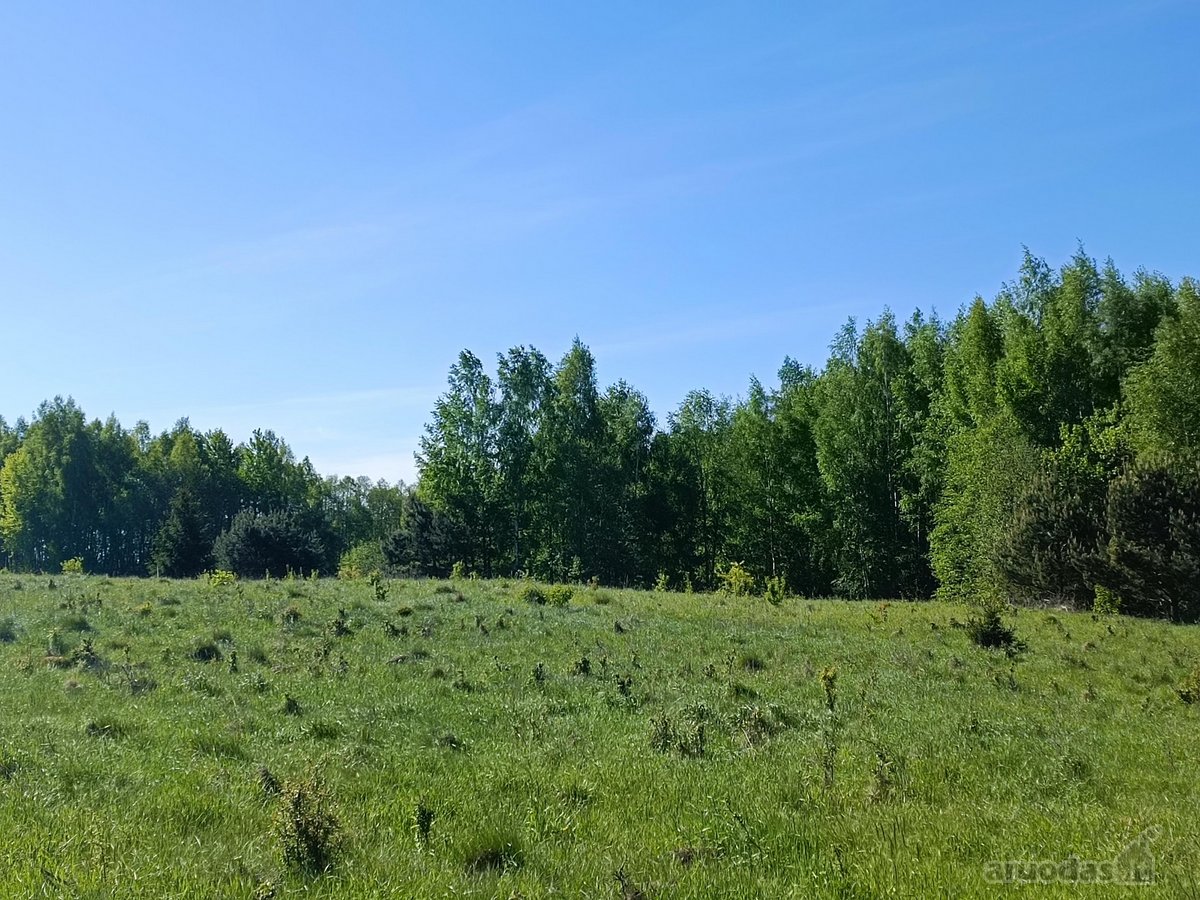 30 arų namų valdos sklypas, bendras 2,51 ha ploto - nuotraukos Nr. 29