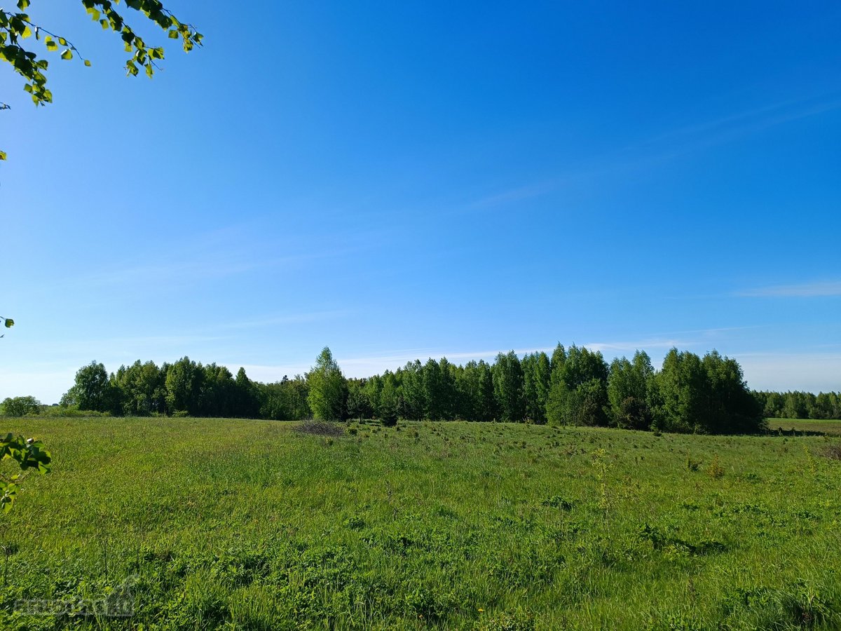 30 arų namų valdos sklypas, bendras 2,51 ha ploto - nuotraukos Nr. 14
