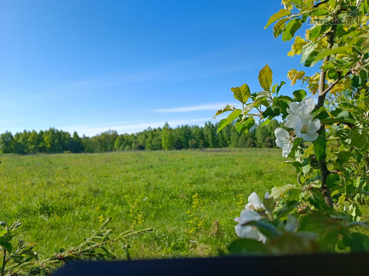 30 arų namų valdos sklypas, bendras 2,51 ha ploto - nuotraukos Nr. 2