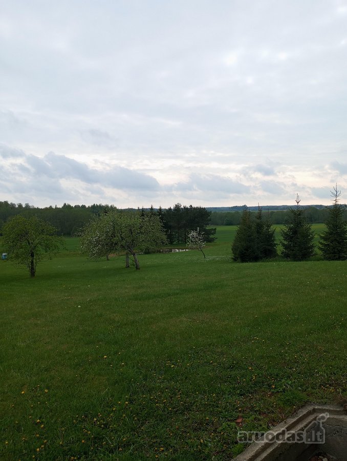 Parduodama sodybą vienkiemis netoli Luobos - nuotraukos Nr. 7