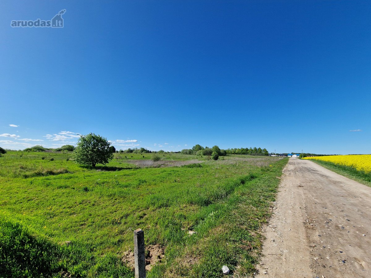 Parduodamas investicinis 548 arų sklypas - nuotraukos Nr. 5