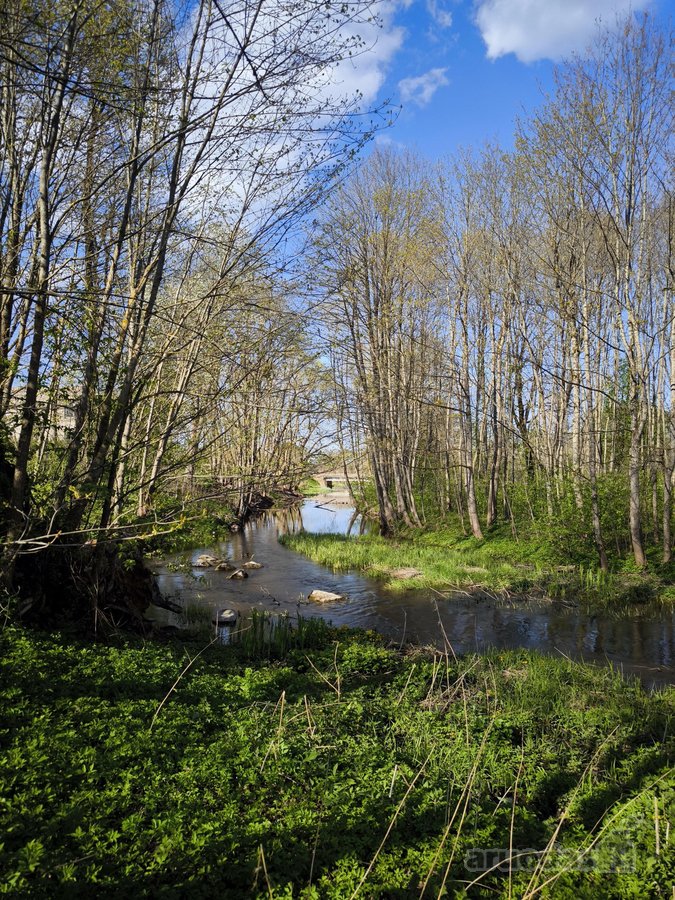 Parduodama sodyba Plungės rajone, Alsėdžių - nuotraukos Nr. 6