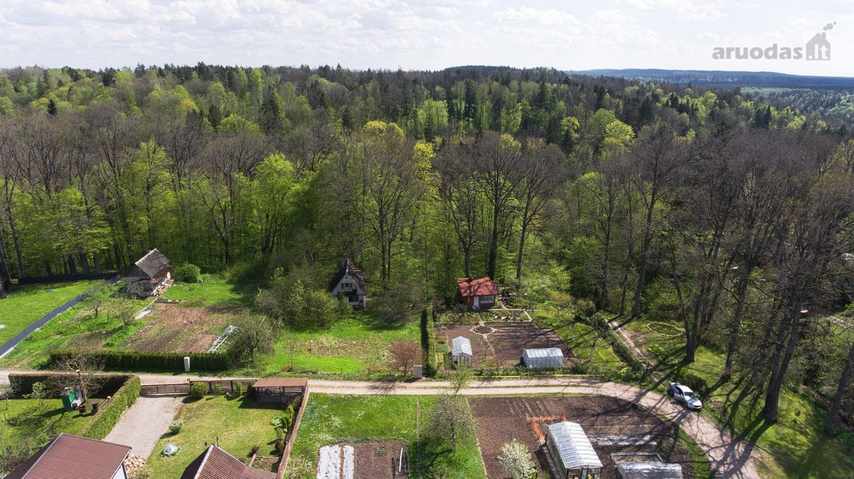 Alytaus K. SB Nemunas, Šaltinėlio G. - nuotraukos Nr. 6
