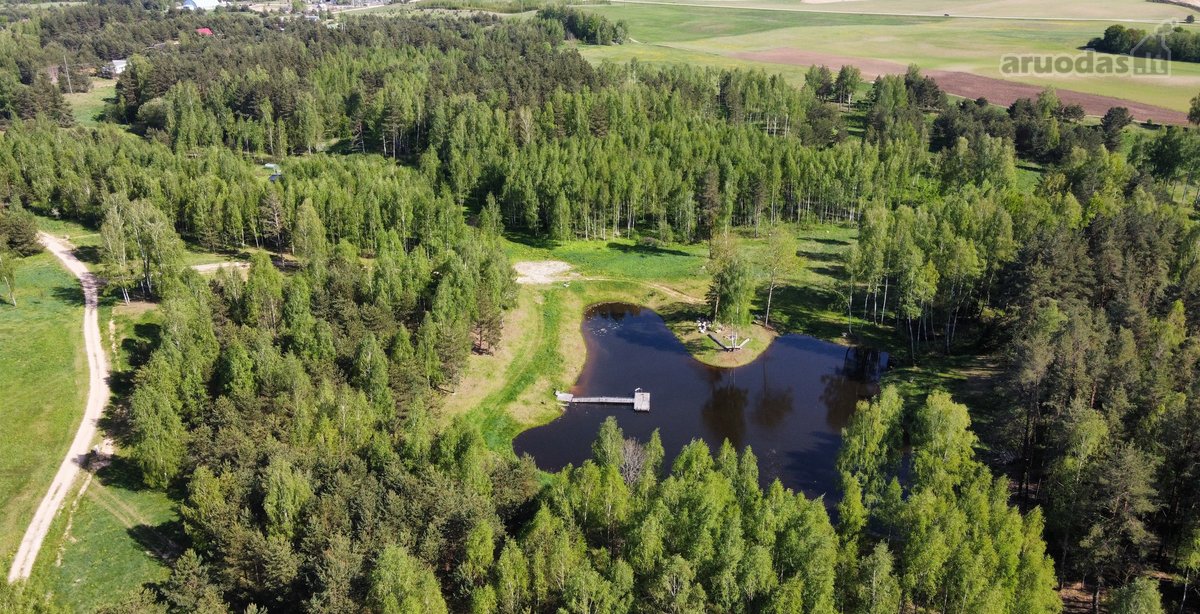 Poilsis pušų apsuptyje – erdvė kūnui, protui - nuotraukos Nr. 10