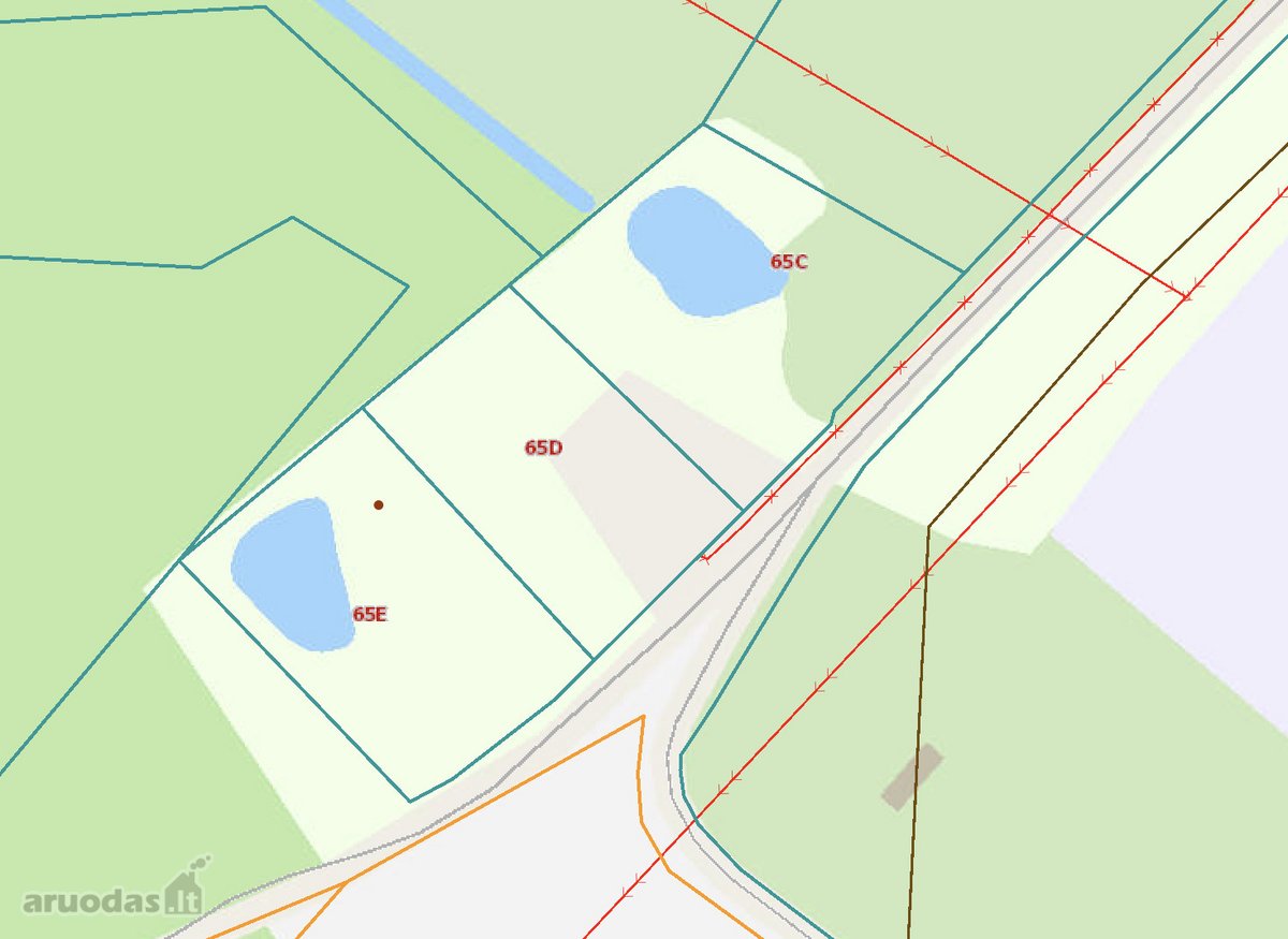 Nuostabioje Vietoje, Bartkuškio Dvaro - nuotraukos Nr. 11