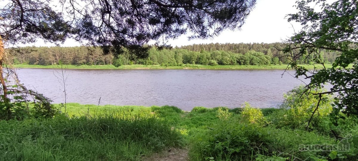 Parduodamas išskirtinis sklypas šalia Nemuno.