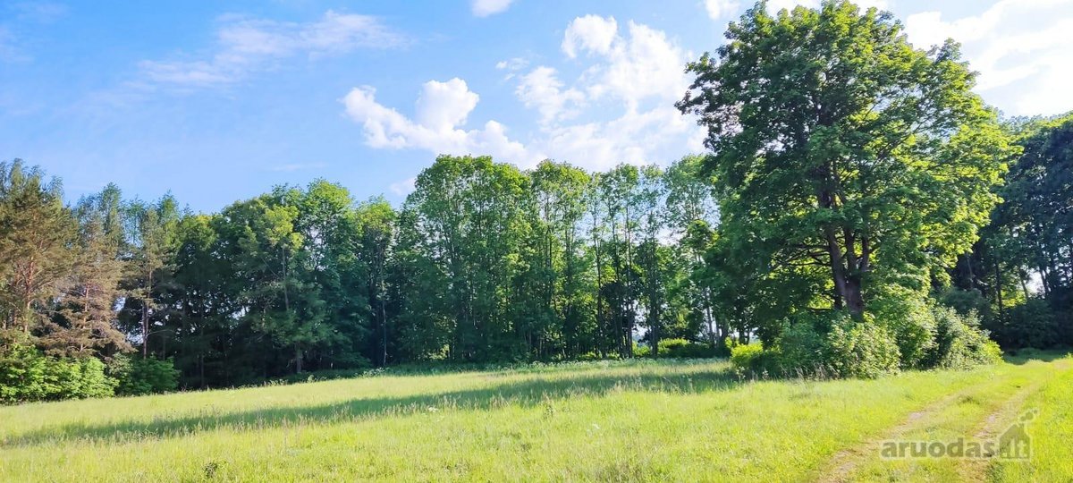 Parduodamas išskirtinis sklypas šalia Nemuno. - nuotraukos Nr. 3