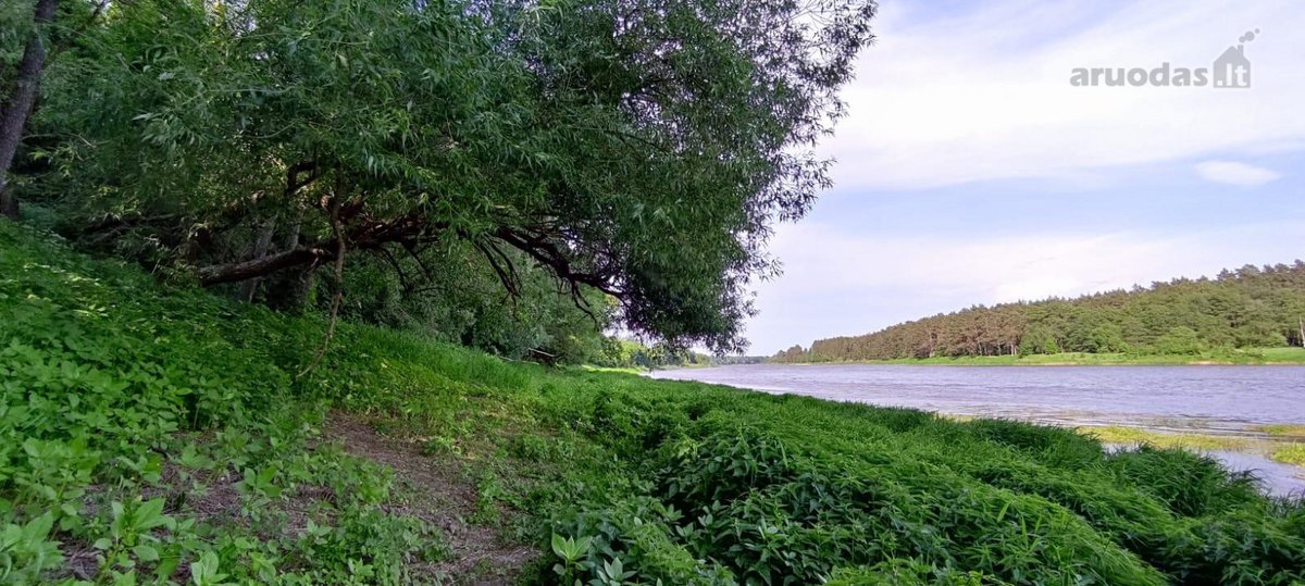 Parduodamas išskirtinis sklypas šalia Nemuno. - nuotraukos Nr. 4