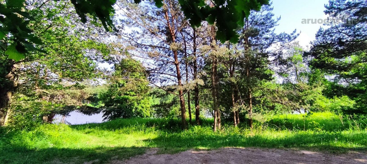 Parduodamas išskirtinis sklypas šalia Nemuno. - nuotraukos Nr. 5