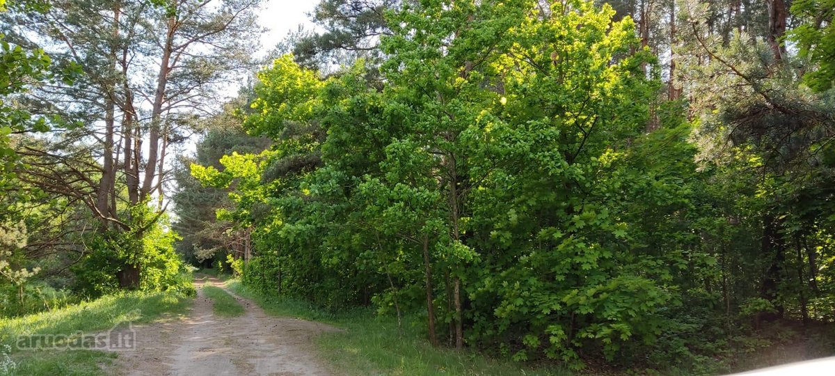 Parduodamas išskirtinis sklypas šalia Nemuno. - nuotraukos Nr. 6