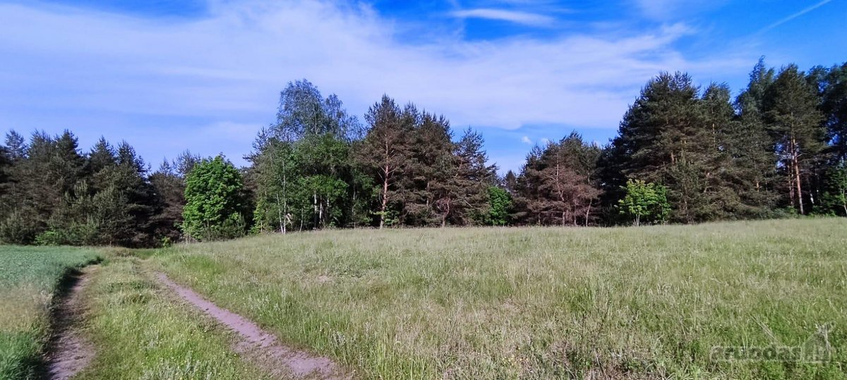 Parduodamas išskirtinis sklypas šalia Nemuno. - nuotraukos Nr. 8