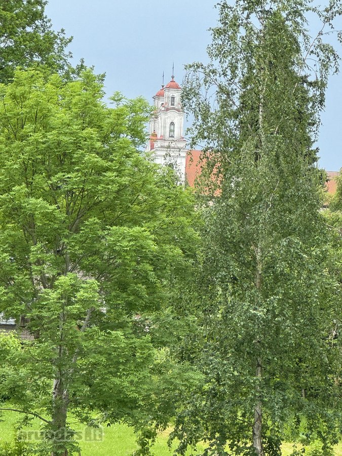 Parduodami Kurtuvėnų centre esantys sklypai. - nuotraukos Nr. 5