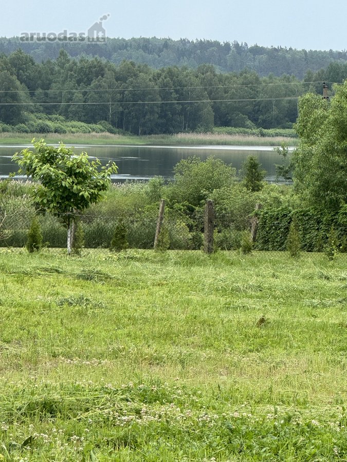 Parduodami Kurtuvėnų centre esantys sklypai. - nuotraukos Nr. 3