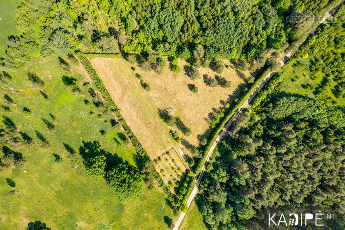 Vilniaus rajone Dėdoniškių kaime (Mickūnų sen - nuotraukos Nr. 3
