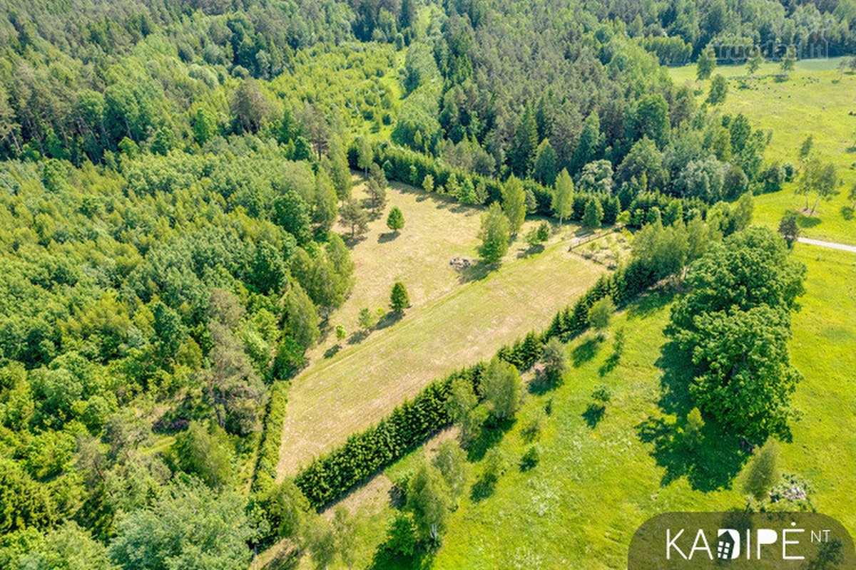 Vilniaus rajone Dėdoniškių kaime (Mickūnų sen - nuotraukos Nr. 5
