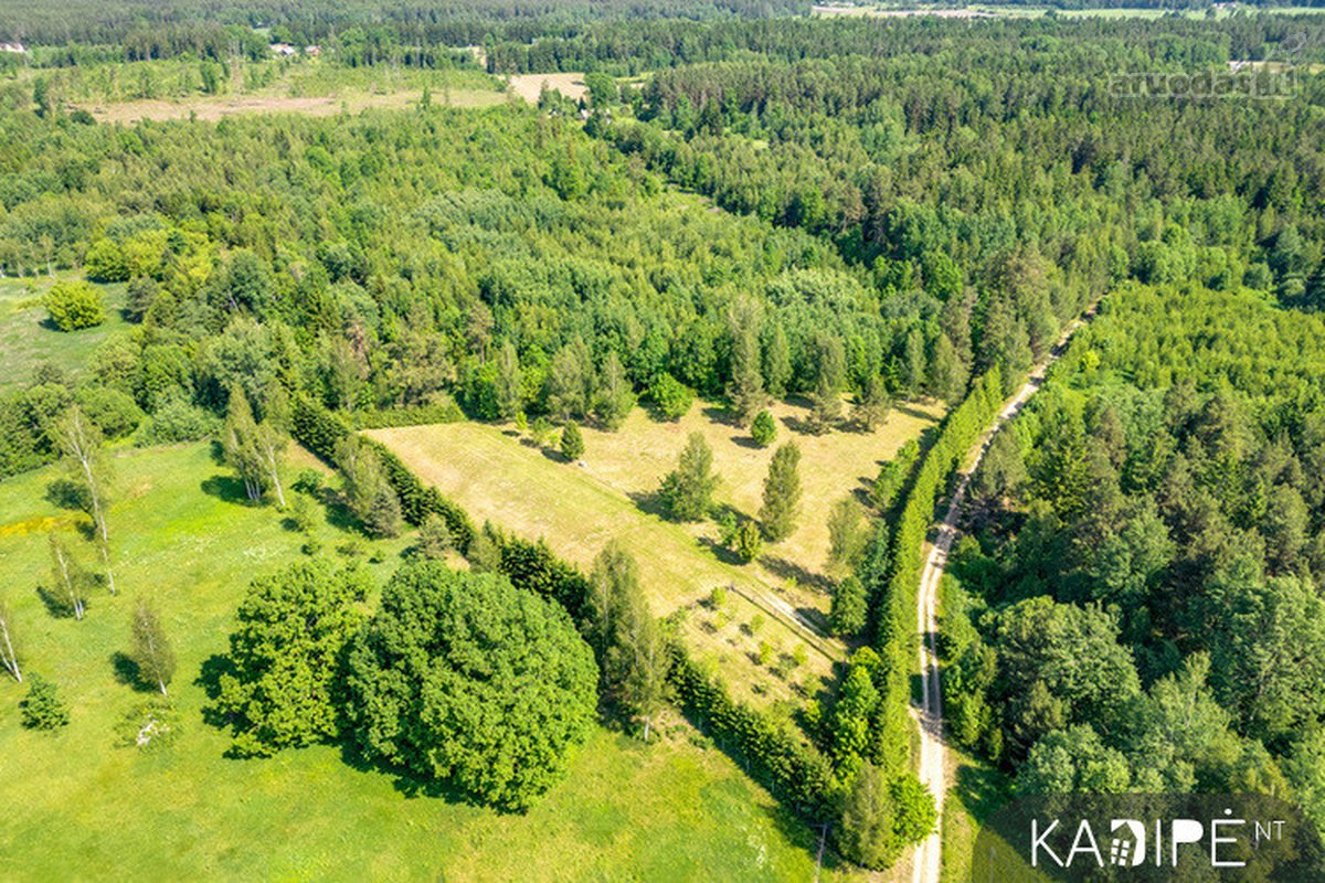 Vilniaus rajone Dėdoniškių kaime (Mickūnų sen - nuotraukos Nr. 8