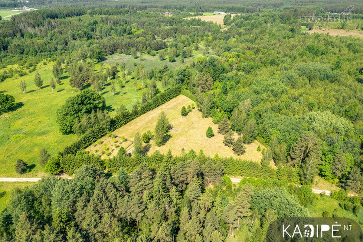 Vilniaus rajone Dėdoniškių kaime (Mickūnų sen - nuotraukos Nr. 10