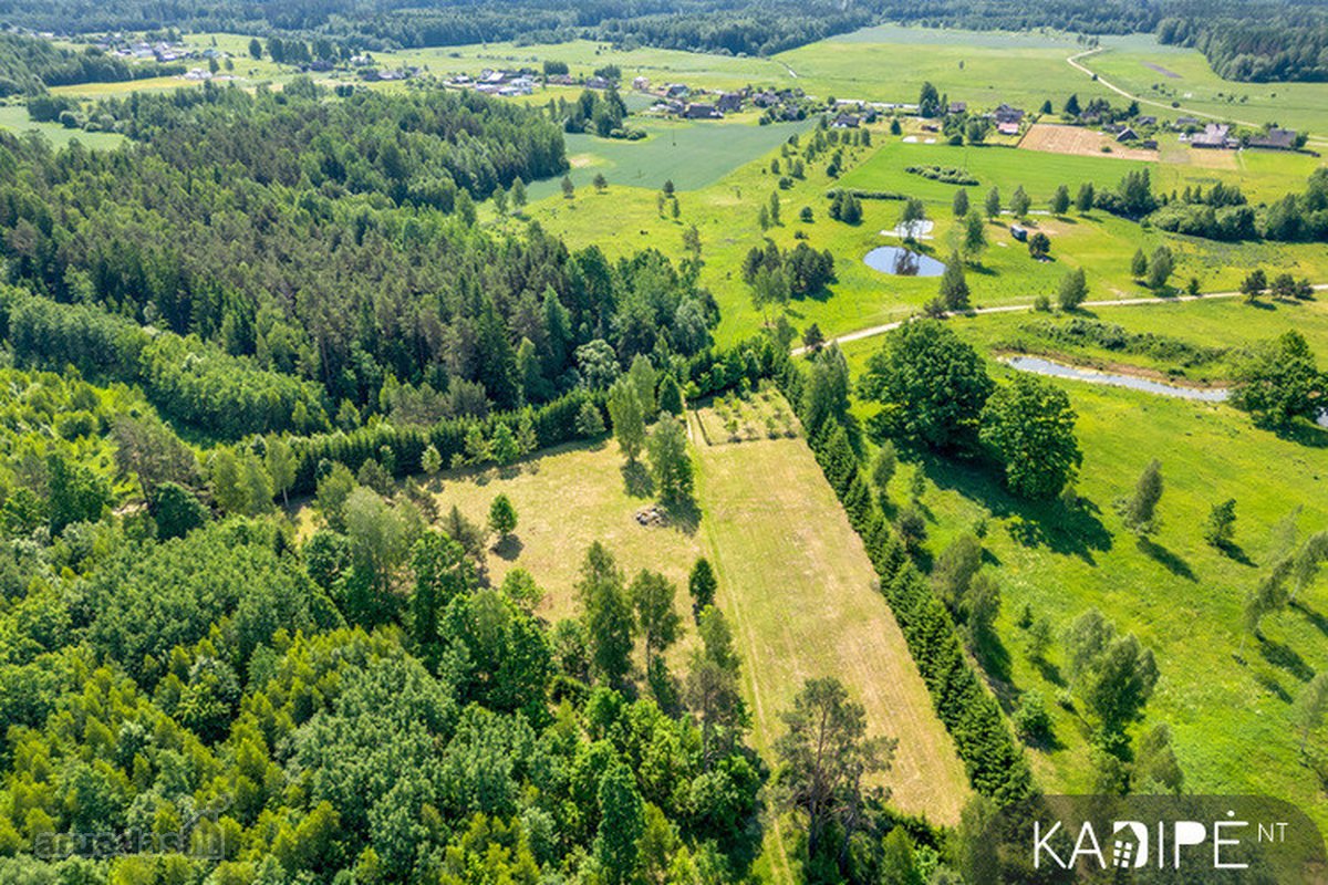 Vilniaus rajone Dėdoniškių kaime (Mickūnų sen - nuotraukos Nr. 13