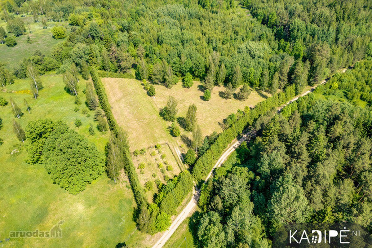 Vilniaus rajone Dėdoniškių kaime (Mickūnų sen - nuotraukos Nr. 12