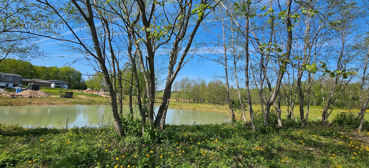 Parduodamas 16,32 arų namų valdos sklypas - nuotraukos Nr. 3