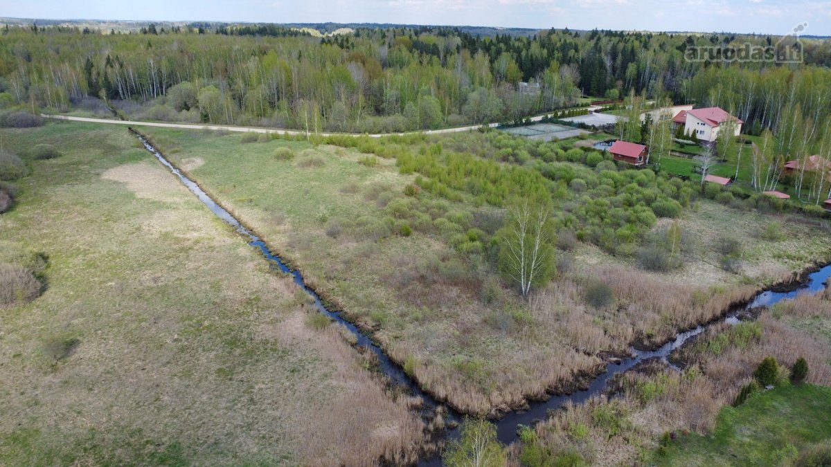 Parduodamas 2,13ha žemės ūkio paskirties - nuotraukos Nr. 3