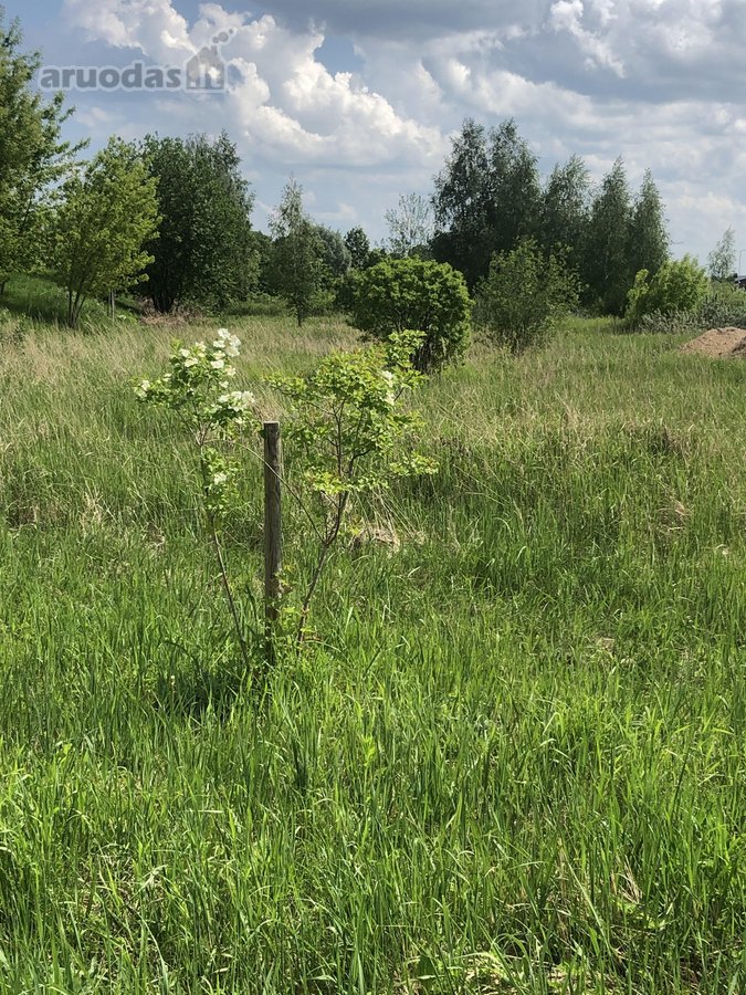 Išskirtinėje miesto vietoje parduodami trys - nuotraukos Nr. 9