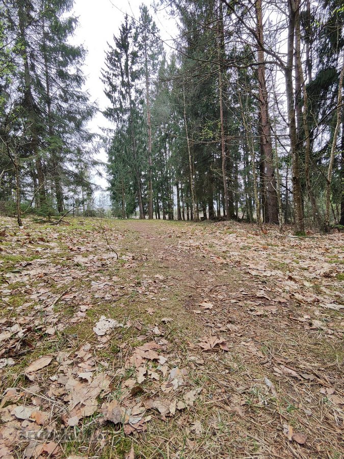Parduodamas žemės ūkio paskirties sklypas su