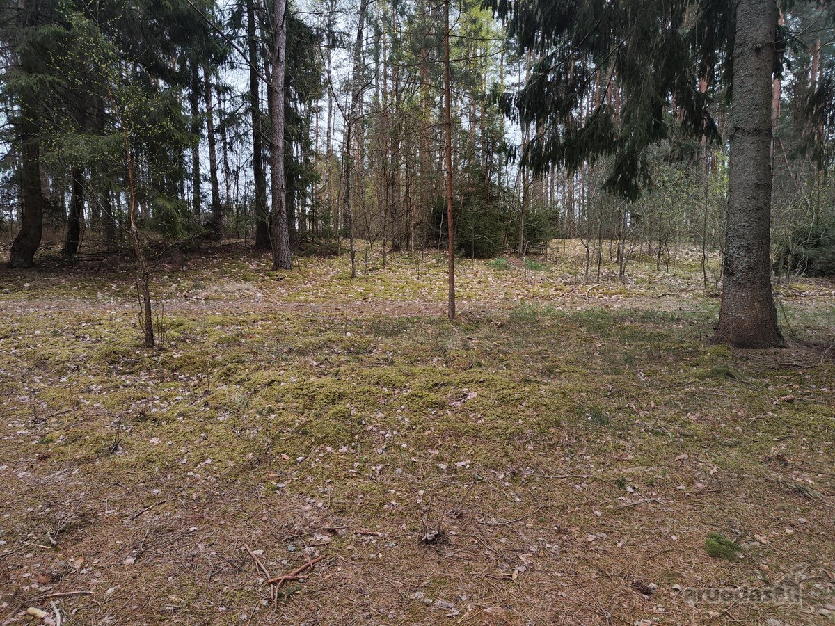 Parduodamas žemės ūkio paskirties sklypas su - nuotraukos Nr. 6
