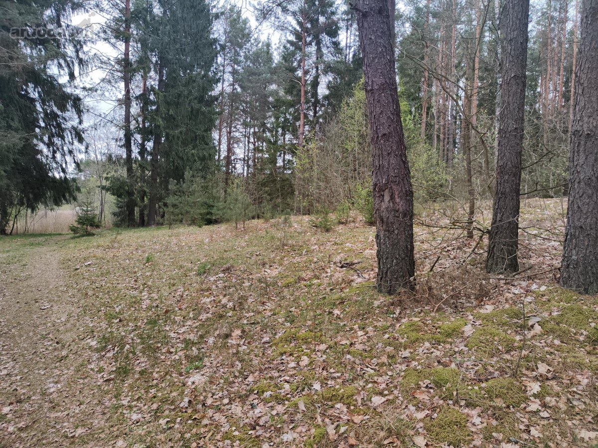 Parduodamas žemės ūkio paskirties sklypas su - nuotraukos Nr. 7