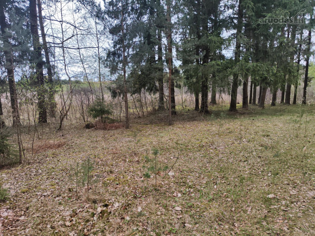 Parduodamas žemės ūkio paskirties sklypas su - nuotraukos Nr. 8