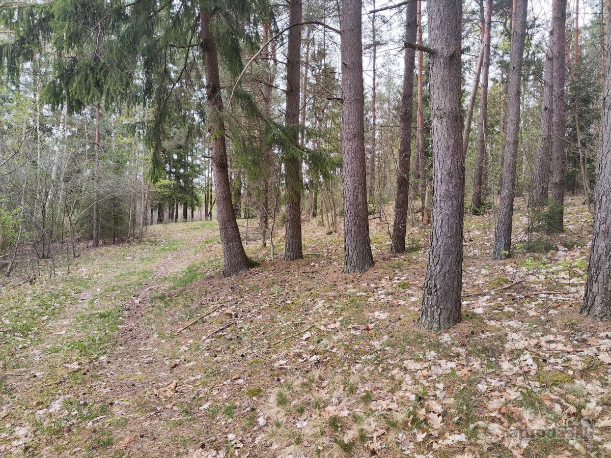 Parduodamas žemės ūkio paskirties sklypas su - nuotraukos Nr. 10