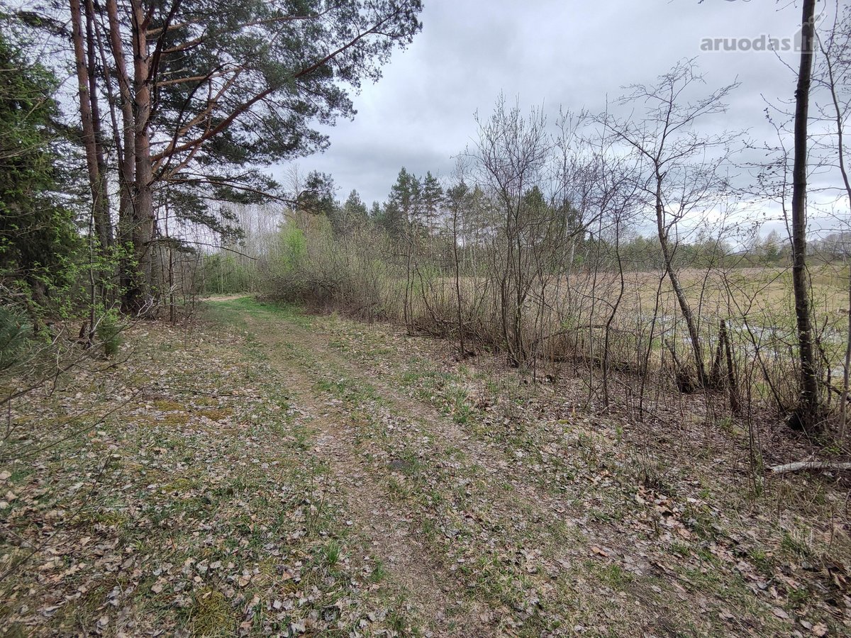 Parduodamas žemės ūkio paskirties sklypas su - nuotraukos Nr. 4