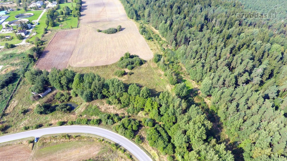 Parduodamas komercinės paskirties 1,69 ha - nuotraukos Nr. 5