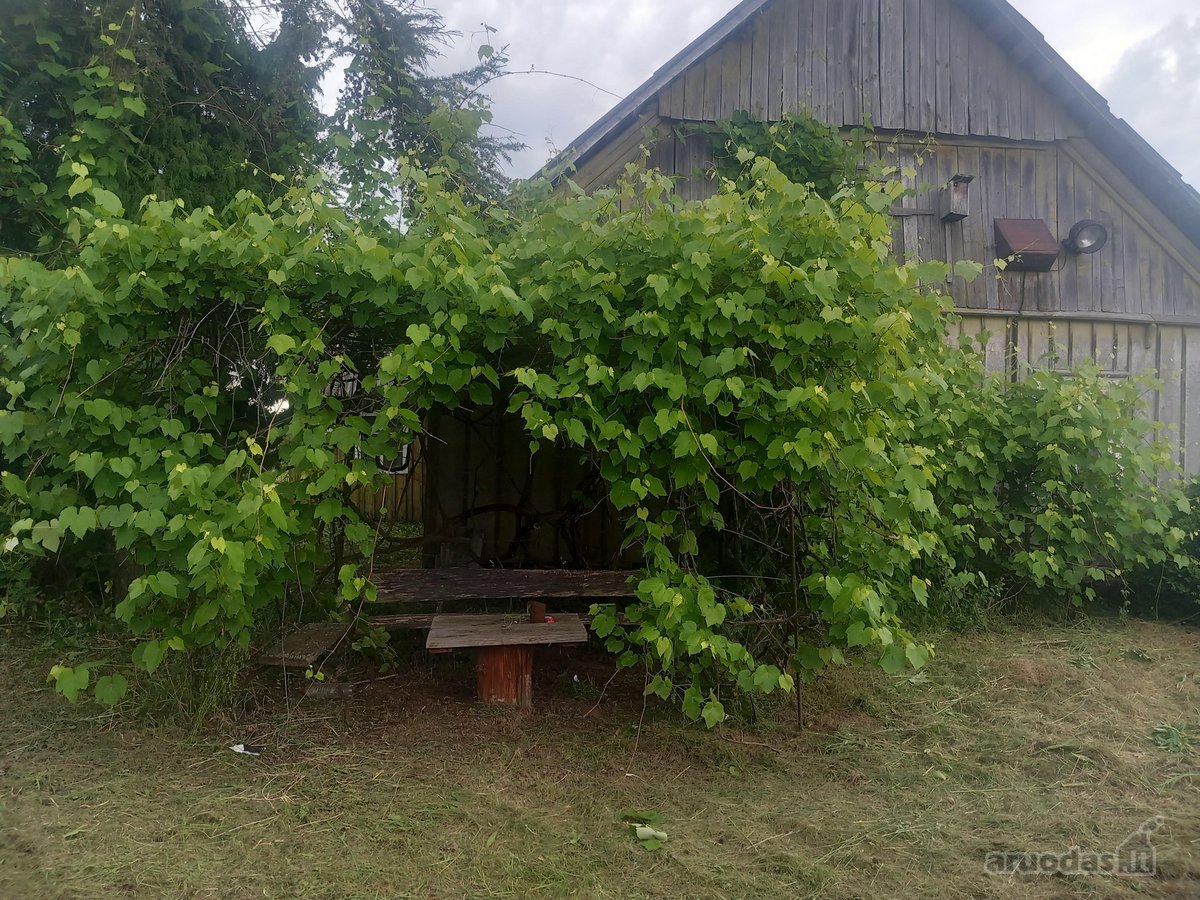 Raseinių r. sav., Narušių k.