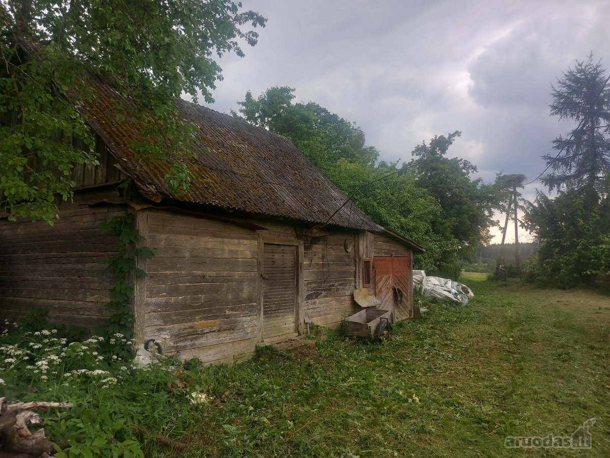 Raseinių r. sav., Narušių k. - nuotraukos Nr. 3