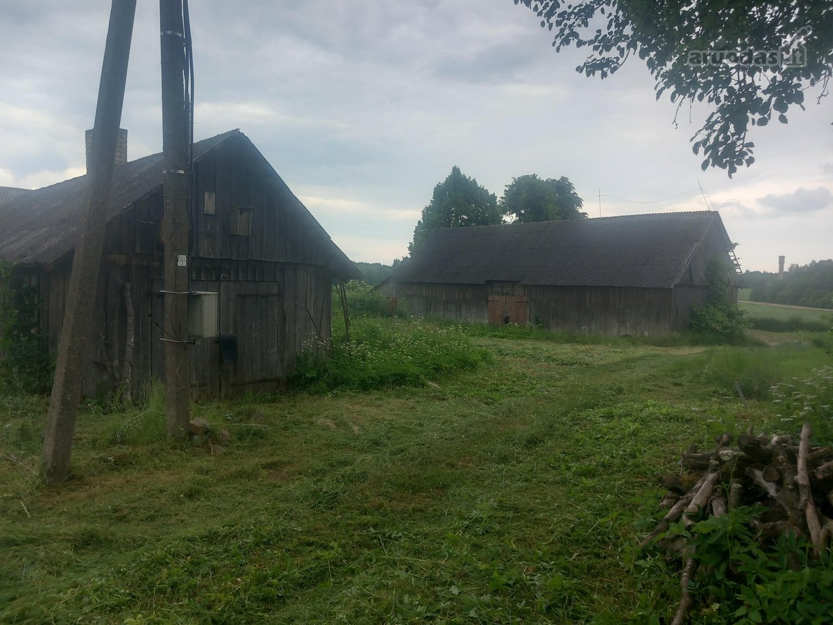 Raseinių r. sav., Narušių k. - nuotraukos Nr. 4