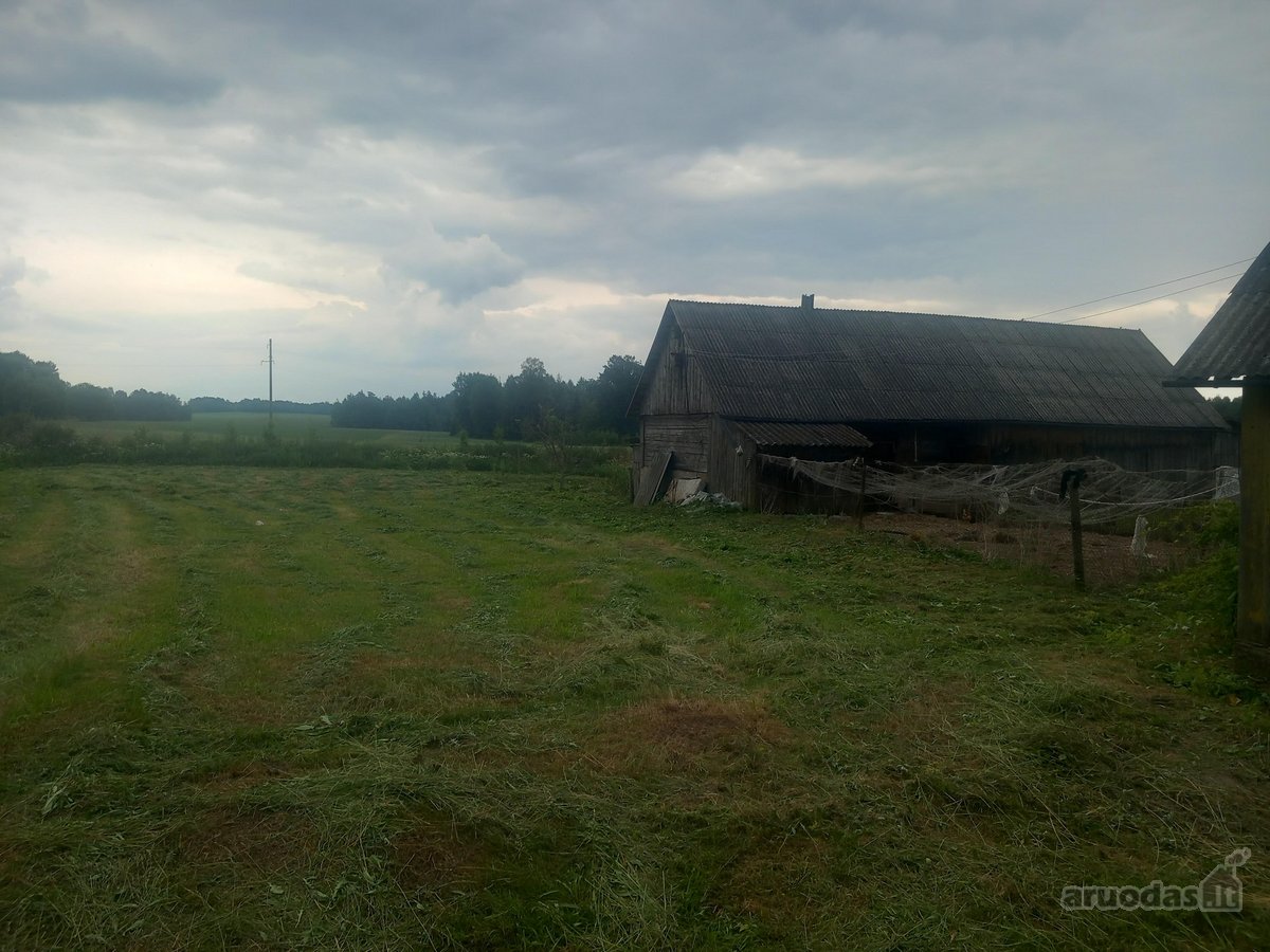 Raseinių r. sav., Narušių k. - nuotraukos Nr. 12