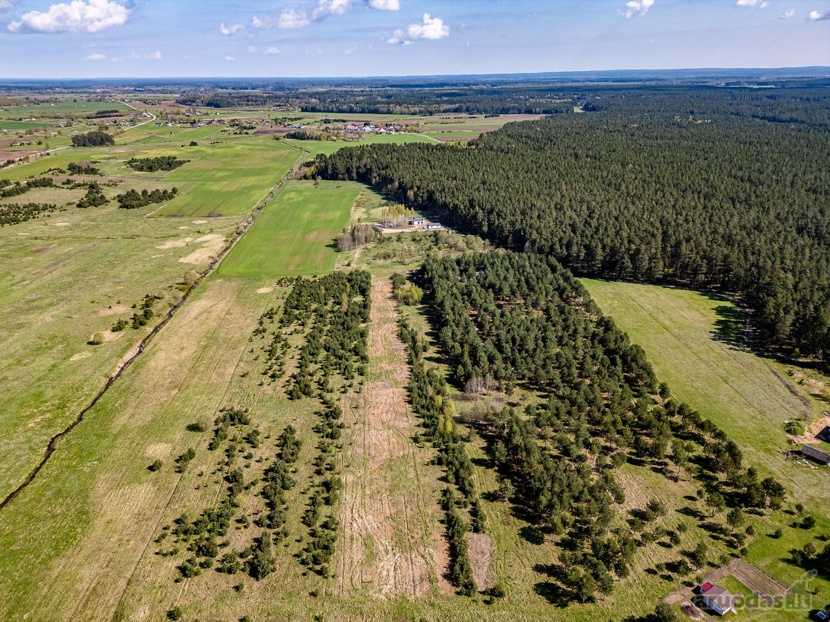 Gyvenimas Pušyne – Privati 2,6 Ha Rezidencija - nuotraukos Nr. 27