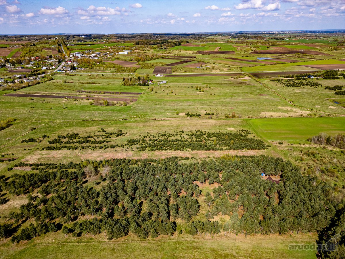 Gyvenimas Pušyne – Privati 2,6 Ha Rezidencija - nuotraukos Nr. 28