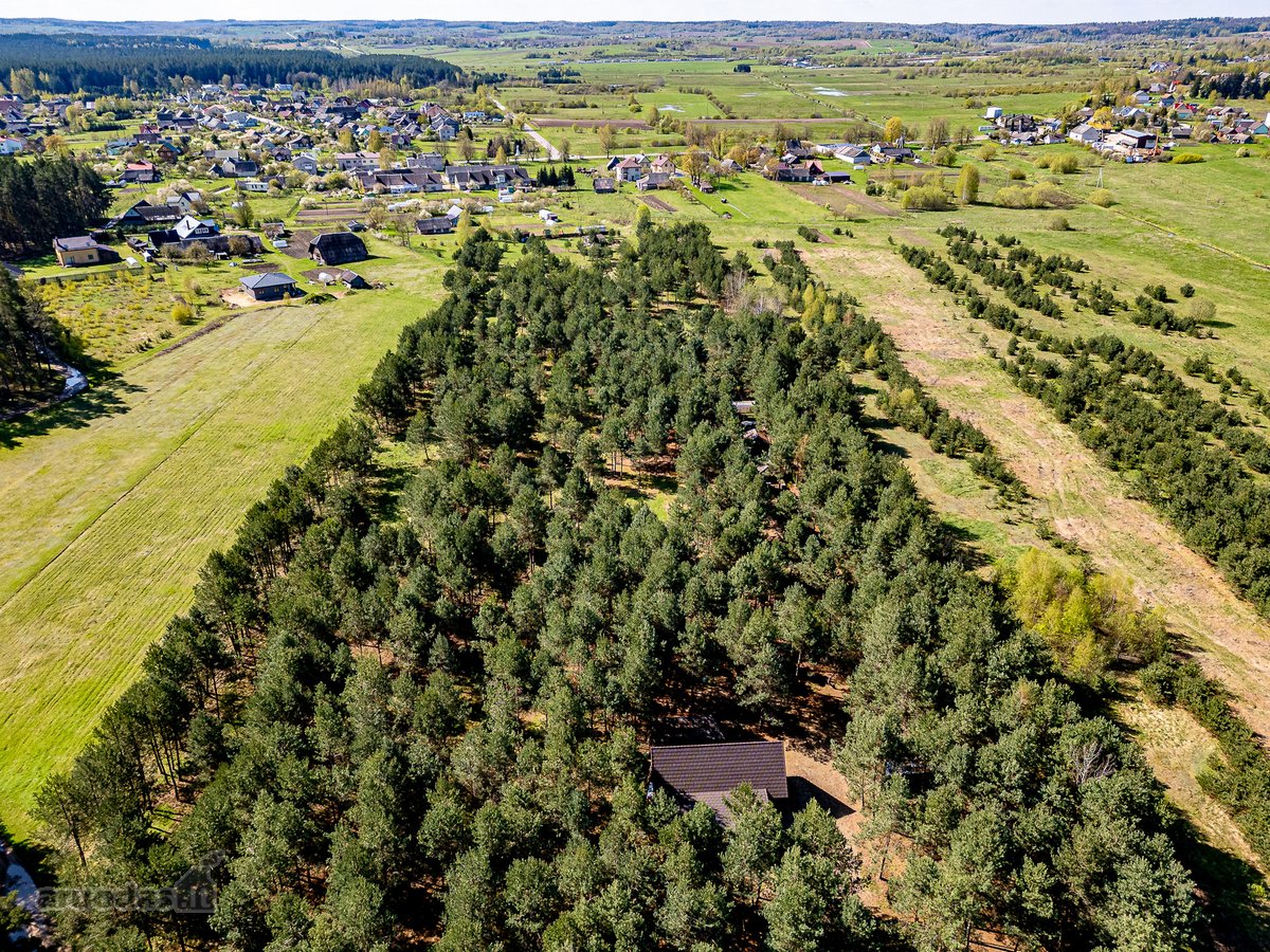 Gyvenimas Pušyne – Privati 2,6 Ha Rezidencija - nuotraukos Nr. 7