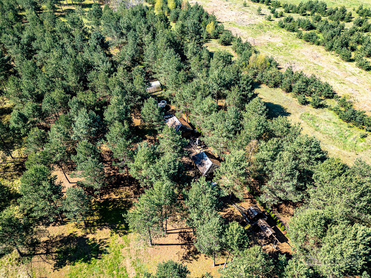 Gyvenimas Pušyne – Privati 2,6 Ha Rezidencija - nuotraukos Nr. 8