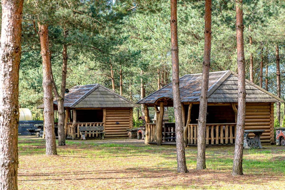 Gyvenimas Pušyne – Privati 2,6 Ha Rezidencija - nuotraukos Nr. 11